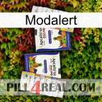 Modalert 12